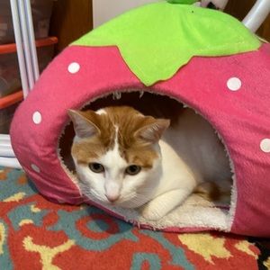 Meet your Posher, Marika